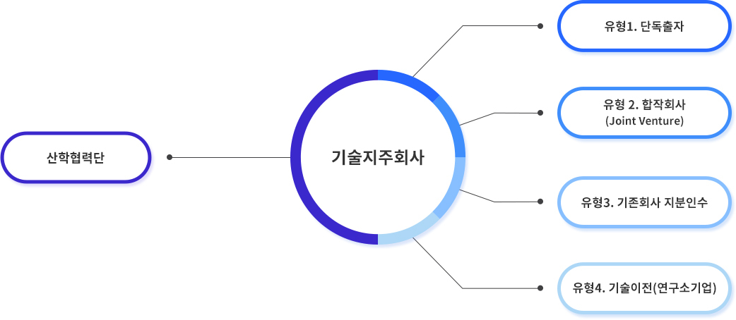 자회사설립유형